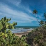Litoral Sul da Paraíba encanta com praias paradisíacas, natureza preservada e experiências culturais únicas