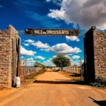 Sertão da Paraíba encanta com paisagens, história e pegadas de dinossauros em Sousa