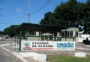 Empasa cadastra comerciantes que desejam vender milho verde no período junino