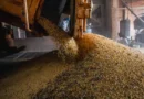 PIB atinge patamar recorde pelo 14º trimestre seguido