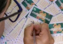 Mega-Sena sorteia neste sábado prêmio acumulado em R$ 31 milhões