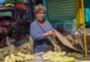 Preços da mão de milho verde variam de R$ 30 a R$ 60 nos mercados de João Pessoa