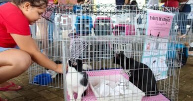 Adota + Paraíba promove ações em Campina Grande neste sábado (21)