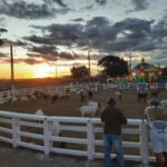 Programação da XVII Expo Leite em Piancó prossegue até este domingo  