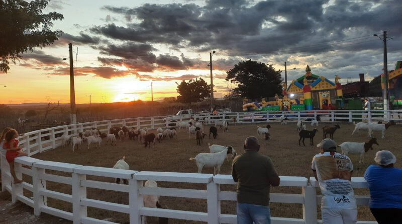 Programação da XVII Expo Leite em Piancó prossegue até este domingo  