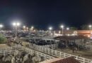 Expo Sousa 2025: inscrições para o maior evento de agronegócio do interior da Paraíba são iniciadas