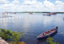 Cresce movimento pela criação de Reserva Extrativista no Rio Paraíba