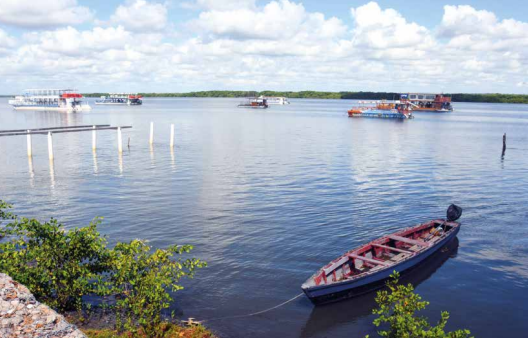 Cresce movimento pela criação de Reserva Extrativista no Rio Paraíba