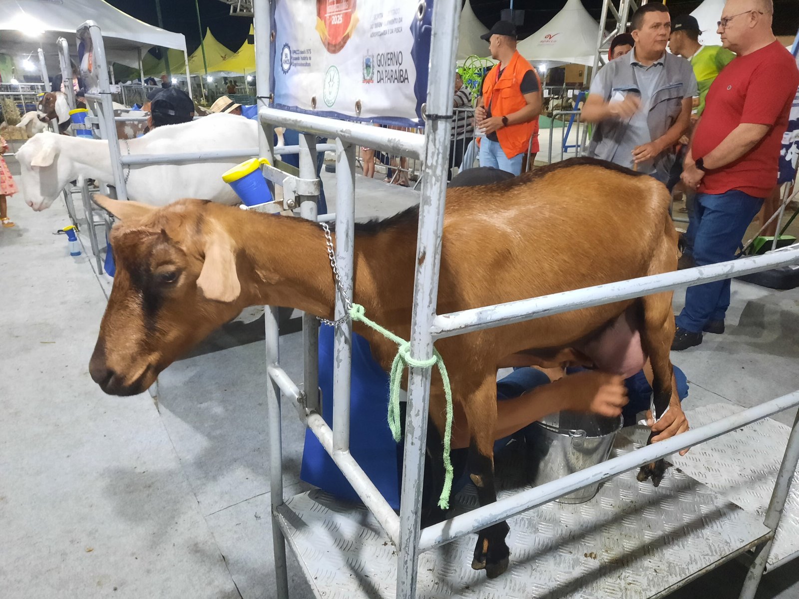Programação da 23ª edição do Bode na Rua prossegue até este domingo no município de Gurjão