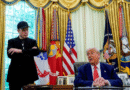 Trump ameaça deportar Elon Musk após críticas e racha político: “Talvez tenha que voltar pra África do Sul”