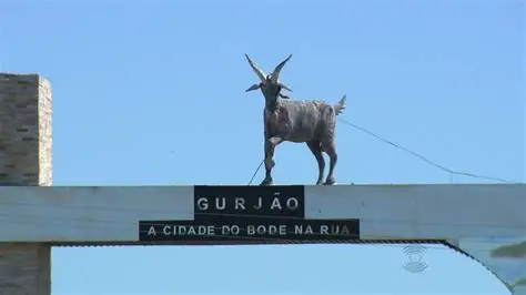 Gurjão realiza a 23ª edição do Bode na Rua com apoio do Governo da Paraíba