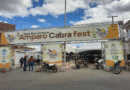 Amparo realiza VII Cabra Fest com foco em negócios, capacitação e valorização cultural