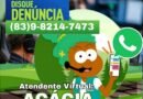 Semam disponibiliza novo número de WhatsApp para denúncias de infrações ambientais