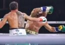 Luta entre Popó e Wanderlei Silva termina em confusão generalizada