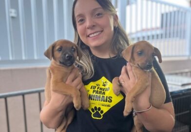 Secretaria de Cuidado e Proteção Animal promove evento de adoção responsável de animais 