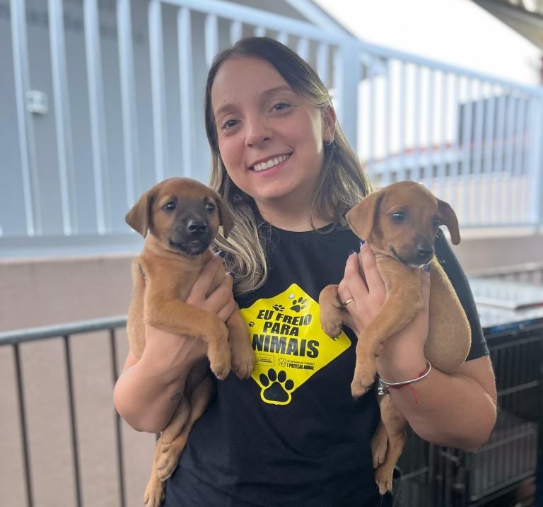 Secretaria de Cuidado e Proteção Animal promove evento de adoção responsável de animais 
