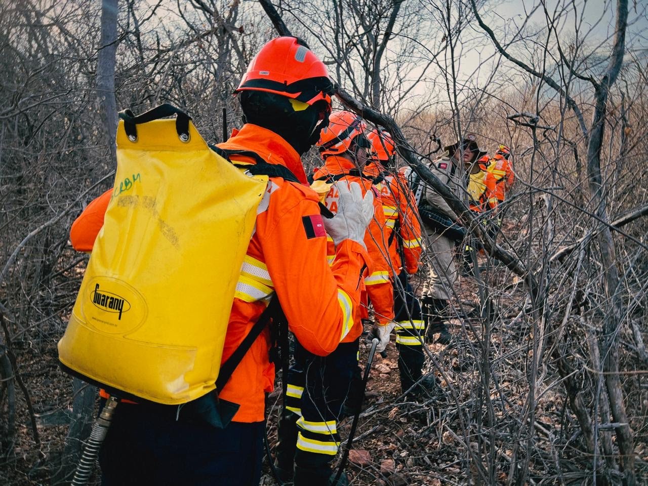 Governo da Paraíba realiza força-tarefa para combater incêndio no entorno do Parque Nacional Serra de Teixeira