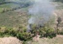 FICCO/PB destrói dezenas de hectares de plantação de maconha na Paraíba