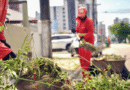 Agentes de limpeza urbana realizam ações de roço e capinação nos bairros
