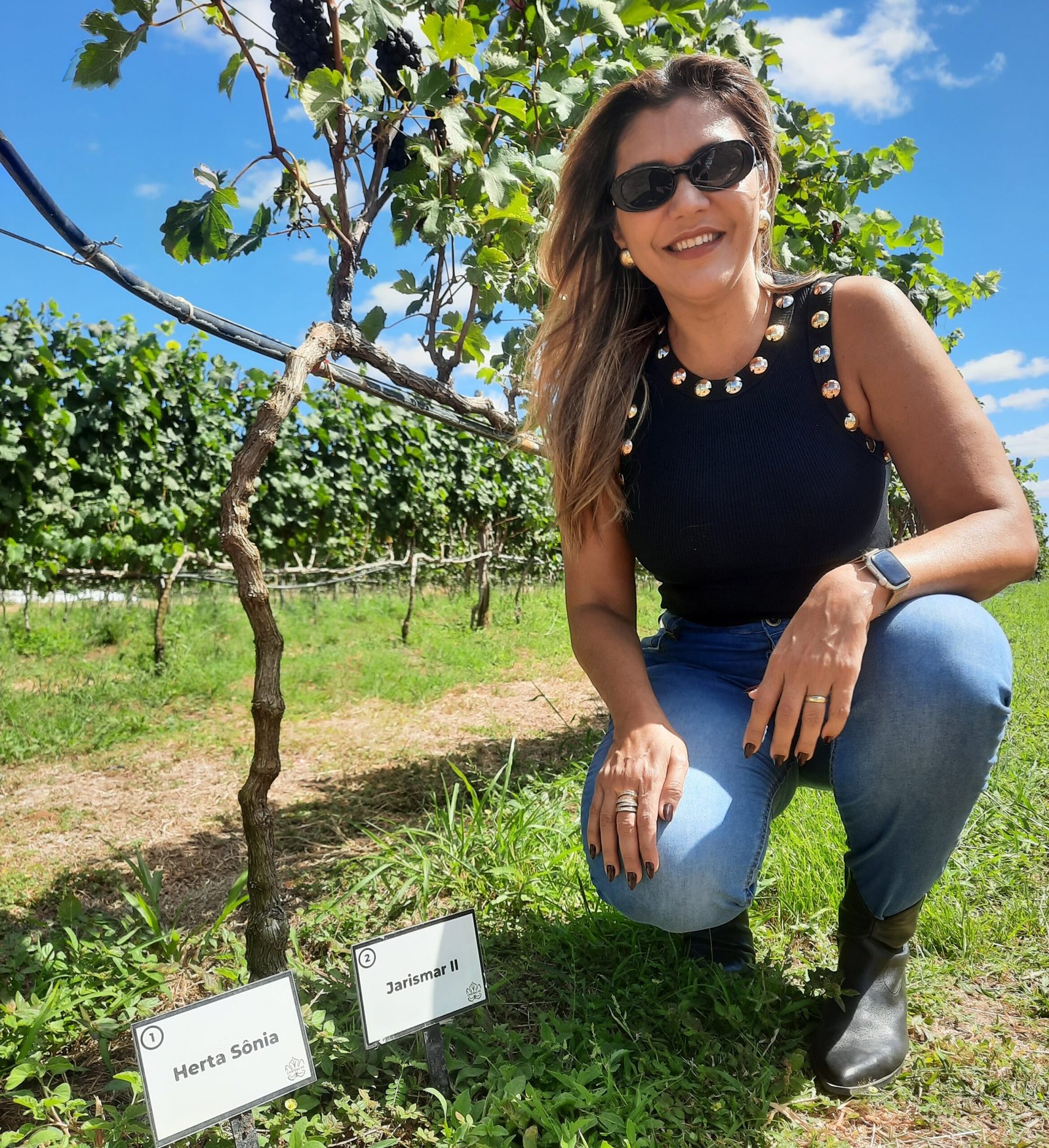 Herta-Sonia-Empreendedora-scaled Primeira vinícola da Paraíba realiza a colheita da segunda safra e projeta crescimento da produção em Sousa