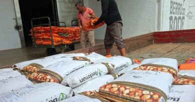 Sedap-PB entra na reta final de entregas do Programa de Sementes e inicia licitação para 2027