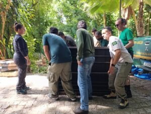 1-32-300x226 Parque Arruda Câmara recebe lobo-guará fêmea através de parceria com Cetas de Goiás