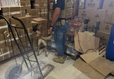 DRE-CG: Polícia Civil apreende cerca de 10 kg de entorpecentes em galpão no município de Santa Rita