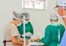 João Pessoa inicia cirurgias de castração de cães e gatos no Centro de Controle de Zoonozes