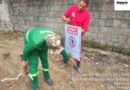 Emlur executa operação diária e reforça combate a pontos de descarte irregular de resíduos na cidade Emlur executa operação diária e reforça combate a pontos de descarte irregular de resíduos na cidade