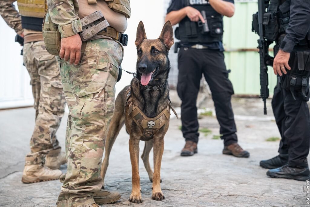 WhatsApp-Image-2026-05-08-at-11.06.43-1-1024x682 COMBATE ÀS FACÇÕES: Polícia Civil realiza mais de 2,5 mil prisões de faccionados e ligados a núcleos violentos em 2025
