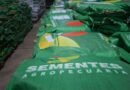 Sedap-PB distribui mais 241 toneladas de sementes para produtores rurais paraibanos