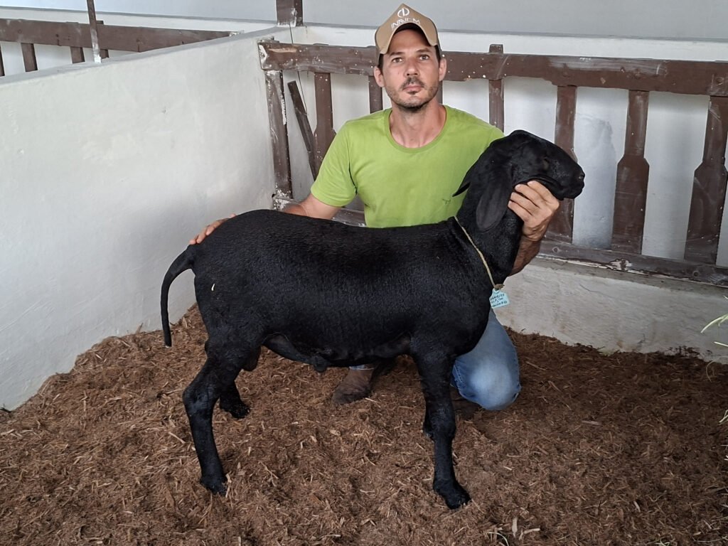 unnamed-2026-05-18T102024.400-1024x768 56ª Expapi reúne mais de 1,2 mil animais e implementos agropecuários em Campina Grande