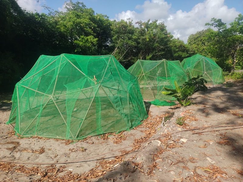 unnamed-2026-05-25T110049.790 Projeto apoiado pela NHolanda Construtora é finalista nacional do Prêmio Consciência Ambiental