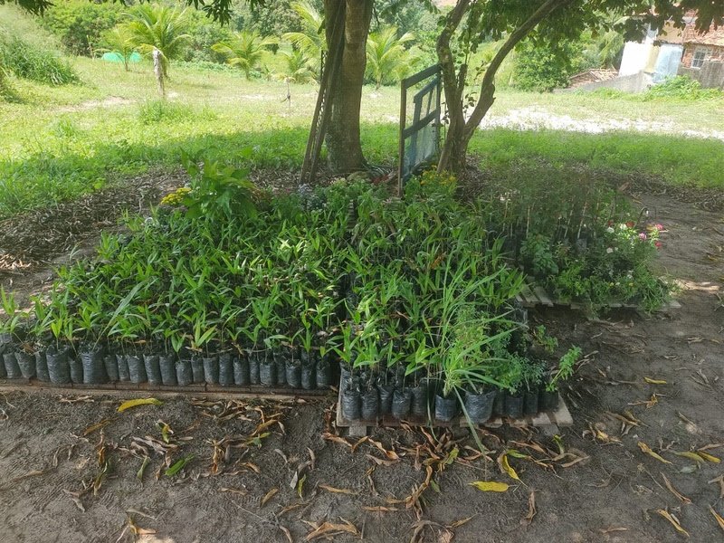 unnamed-2026-05-25T110129.626 Projeto apoiado pela NHolanda Construtora é finalista nacional do Prêmio Consciência Ambiental