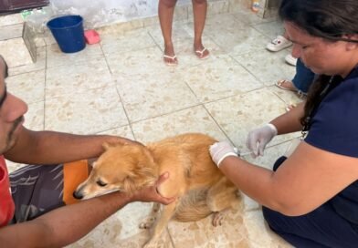Sepa realiza mutirão de vacinação domiciliar e beneficia protetores independentes com mais de 300 doses aplicadas