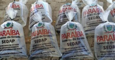 Sedap-PB distribui 200 mil alevinos para seis municípios, nesta terça-feira (30)