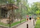Parque Zoobotânico Arruda Câmara estará aberto para visitação no feriado de São João Parque Zoobotânico Arruda Câmara estará aberto para visitação no feriado de São João