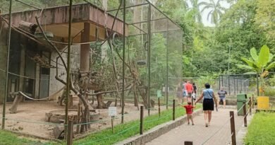 Parque Zoobotânico Arruda Câmara estará aberto para visitação no feriado de São João