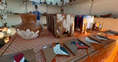 Artesãos transformam festejos juninos em oportunidade de negócio em Santa Luzia