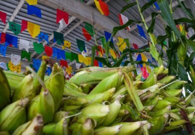 Festival do Milho da Cecaf acontece em junho, unindo preço acessível, gastronomia e arrasta-pé Festival do Milho da Cecaf acontece em junho, unindo preço acessível, gastronomia e arrasta-pé