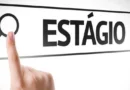 Processo seletivo abre 50 vagas de estágio remunerado para estudantes de nível superior na SEE