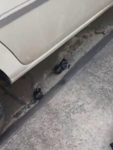 2-227x300 Operação Almeidão flagrou torcedores jogando explosivos contra torcida adversária e deteve seis suspeitos