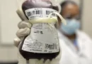 Lei cria Junho Vermelho para incentivar doação de sangue Lei cria Junho Vermelho para incentivar doação de sangue