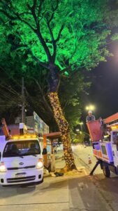 1-20-169x300 Prefeitura de João Pessoa inicia instalação da decoração natalina