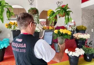 Pesquisa do Procon-JP registra diferença de R$ 700 no preço do arranjo de flores para o Dia de Finados
