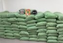 PF e PM/PB prendem homem e apreendem meia tonelada de maconha