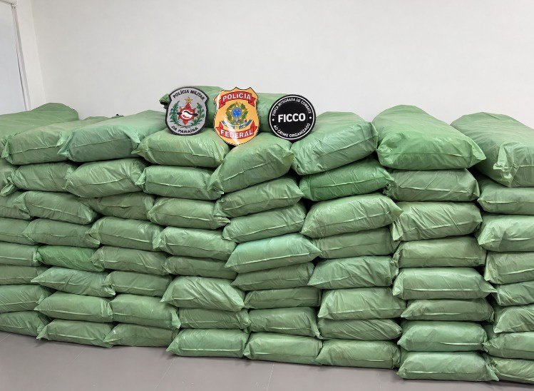PF e PM/PB prendem homem e apreendem meia tonelada de maconha