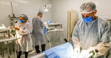Prefeitura de João Pessoa abre inscrições para o projeto Sábados de Proteção Animal do mês de outubro